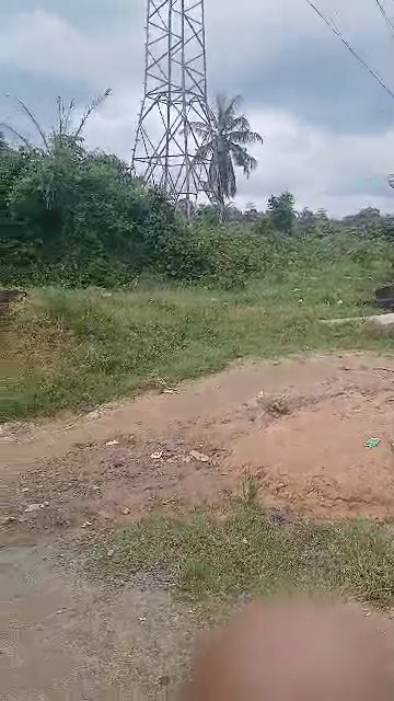 Terrain a vendre, Bonaberi (bekoko en face usine de la pasta)